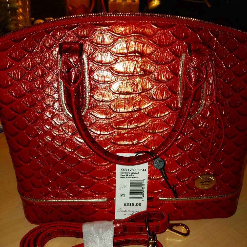 Beautiful Brahmin Bag
